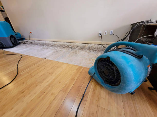 Professional Ceiling Water Damage Repair technician working in Gilcrest, CO